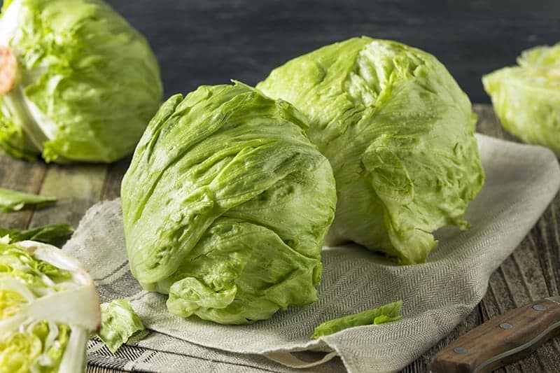 IcebergLettuce